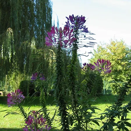 & Restaurant Le Relais D'aumale