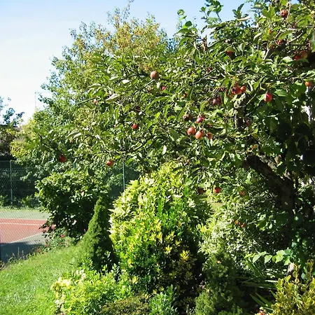 & Restaurant Le Relais D'aumale Orry-La-Ville